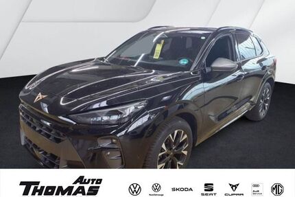 Cupra Terramar Gebrauchtwagen
