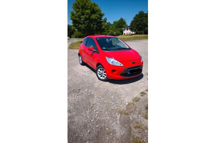Ford Ka/Ka+ Gebrauchtwagen