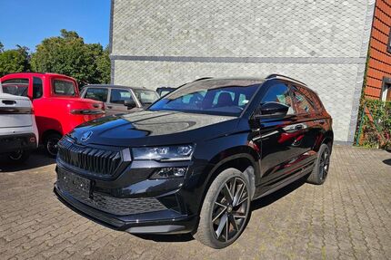 Skoda Karoq Gebrauchtwagen