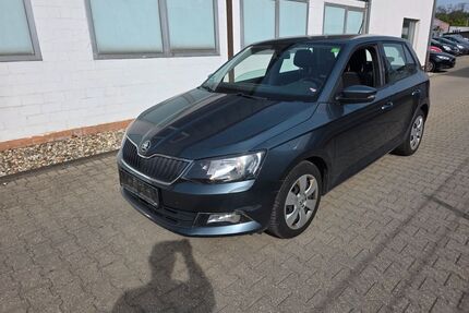 Skoda Fabia Gebrauchtwagen