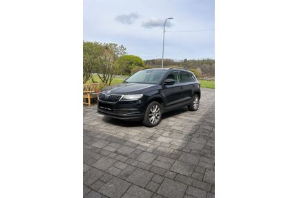 Skoda Karoq Gebrauchtwagen