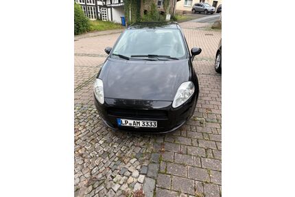 Fiat Punto Gebrauchtwagen