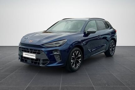 Cupra Terramar Gebrauchtwagen