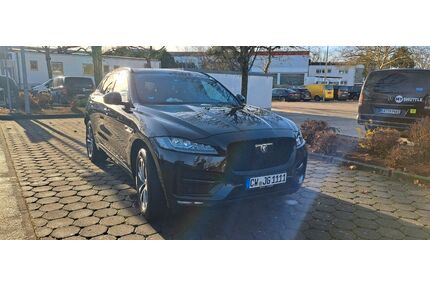 Jaguar F-Pace Gebrauchtwagen