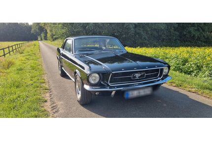 Ford Mustang Gebrauchtwagen
