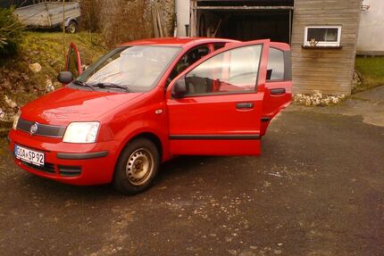 Fiat Panda Gebrauchtwagen