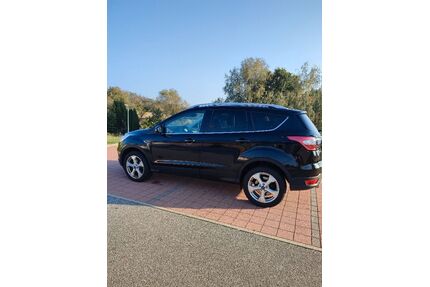 Ford Kuga Gebrauchtwagen