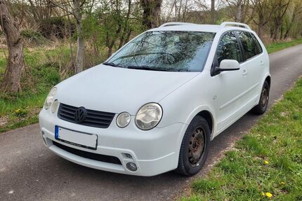 VW Polo Gebrauchtwagen