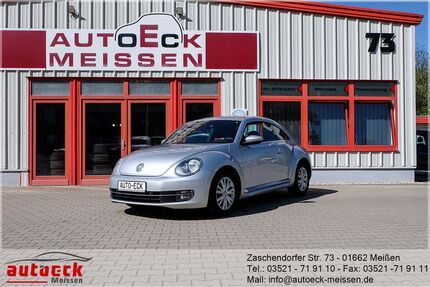 VW Beetle Gebrauchtwagen