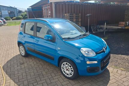 Fiat New Panda Gebrauchtwagen