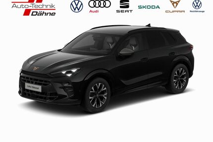 Cupra Terramar Gebrauchtwagen