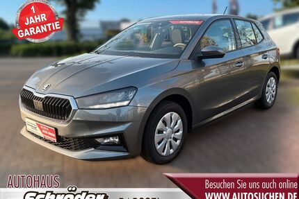 Skoda Fabia Gebrauchtwagen