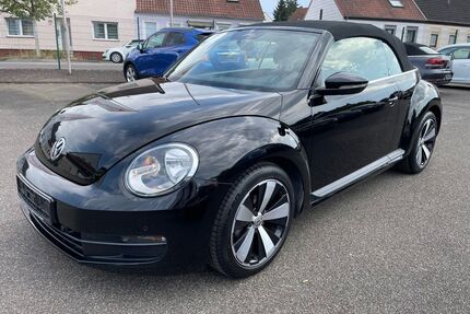 VW Beetle Gebrauchtwagen
