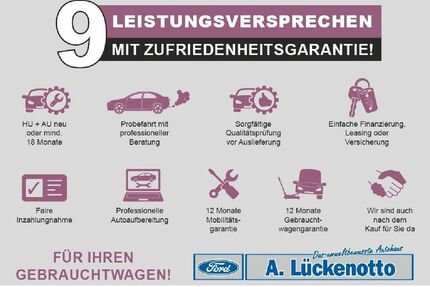 Ford Tourneo Courier Gebrauchtwagen