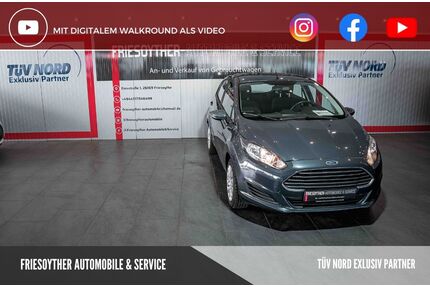 Ford Fiesta Gebrauchtwagen