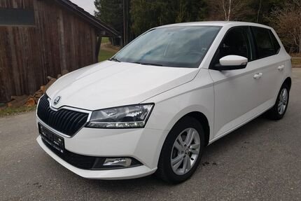 Skoda Fabia Gebrauchtwagen