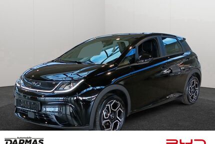 BYD DOLPHIN Gebrauchtwagen