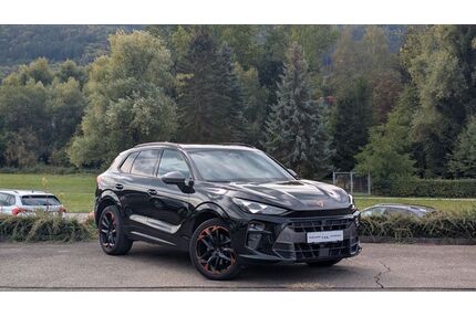 Cupra Terramar Gebrauchtwagen