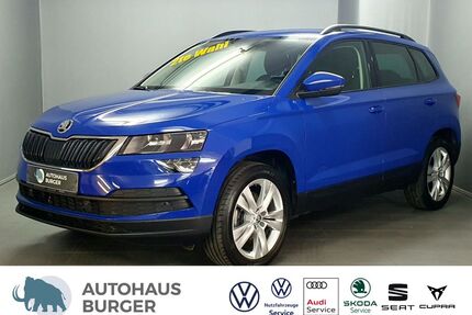 Skoda Karoq Gebrauchtwagen