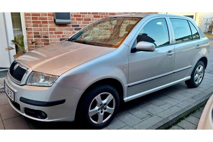 Skoda Fabia Gebrauchtwagen