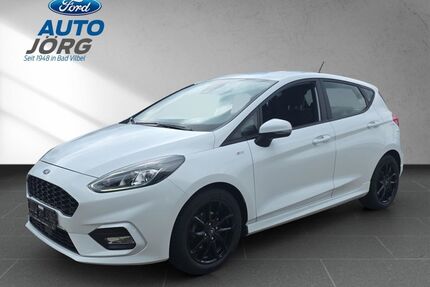 Ford Fiesta Gebrauchtwagen
