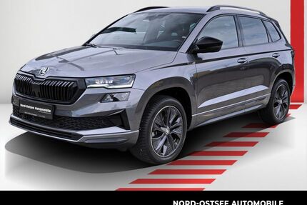 Skoda Karoq Gebrauchtwagen