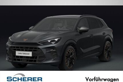 Cupra Terramar Gebrauchtwagen