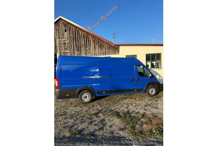 Fiat Ducato Gebrauchtwagen