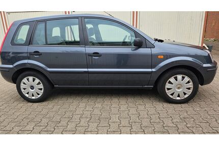 Ford Fusion Gebrauchtwagen