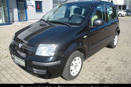 Fiat Panda Gebrauchtwagen