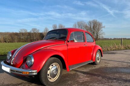 VW Käfer Gebrauchtwagen