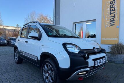 Fiat Panda Gebrauchtwagen