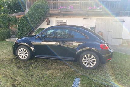 VW Beetle Gebrauchtwagen
