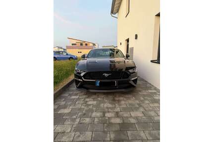 Ford Mustang Gebrauchtwagen
