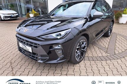 Cupra Terramar Gebrauchtwagen