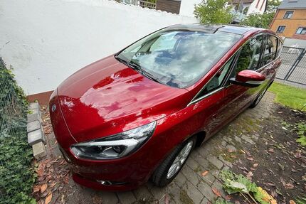 Ford S-Max Gebrauchtwagen