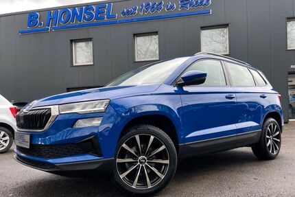 Skoda Karoq Gebrauchtwagen