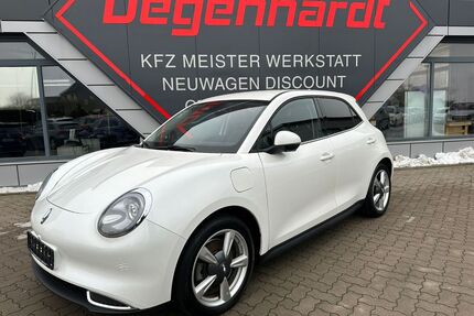 ORA Funky Cat Gebrauchtwagen