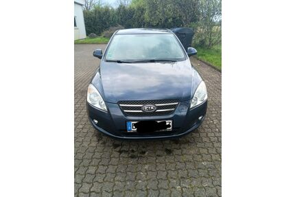 Kia ceed / Ceed Gebrauchtwagen