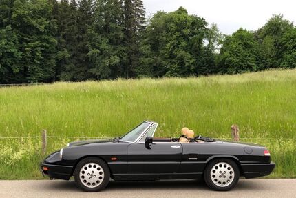 Alfa Romeo Spider Gebrauchtwagen