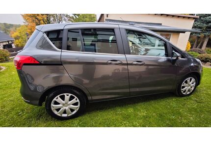 Ford B-Max Gebrauchtwagen