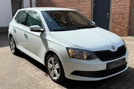 Skoda Fabia Gebrauchtwagen