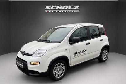 Fiat Panda Gebrauchtwagen