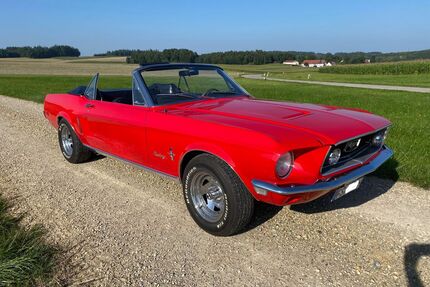 Ford Mustang Gebrauchtwagen