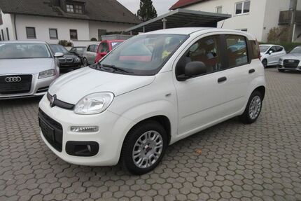 Fiat Panda Gebrauchtwagen