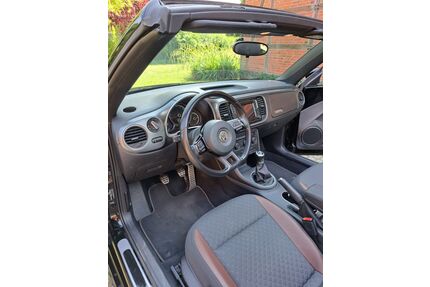 VW Beetle Gebrauchtwagen