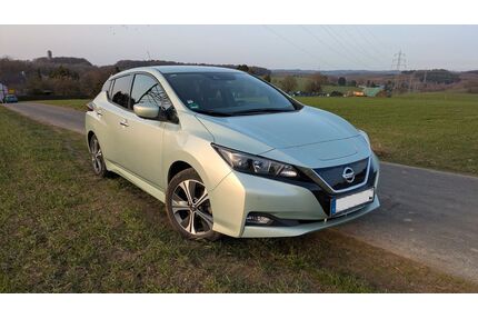 Nissan Leaf Gebrauchtwagen