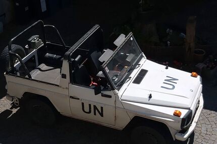 Mercedes-Benz G 250 Gebrauchtwagen