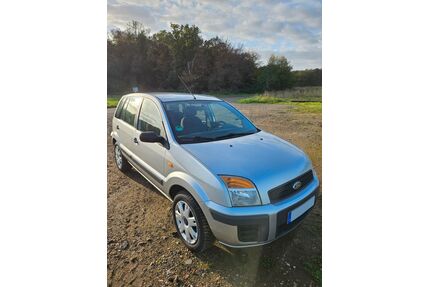 Ford Fusion Gebrauchtwagen