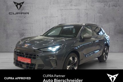 Cupra Terramar Gebrauchtwagen